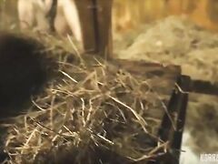 HORRORPORN - Rabbit hutch